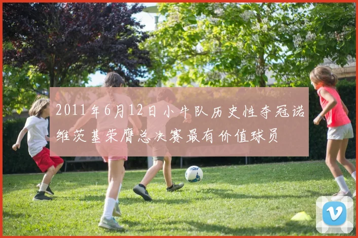 2011年6月12日小牛队历史性夺冠诺维茨基荣膺总决赛最有价值球员