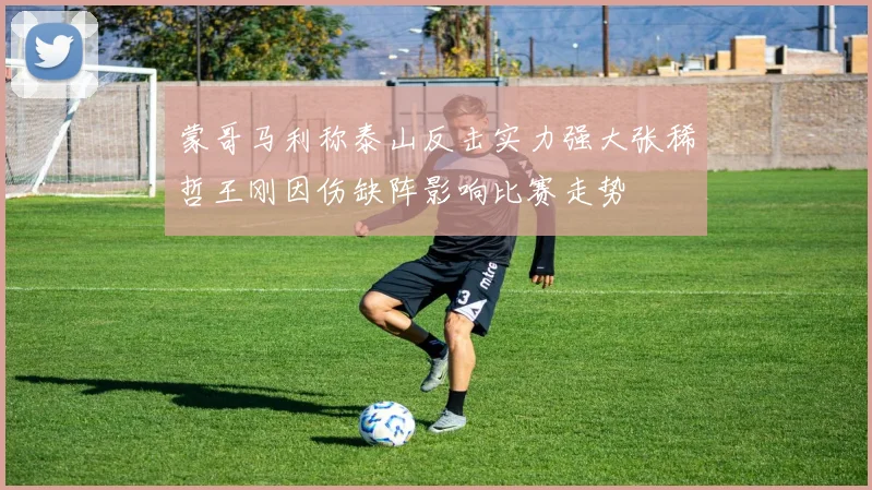 蒙哥马利称泰山反击实力强大张稀哲王刚因伤缺阵影响比赛走势