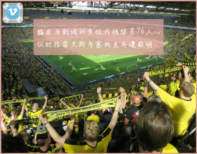 猛龙马刺试训多位内线球员76人心仪的格雷夫斯与塞纳克或遭截胡
